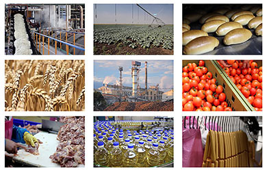 Food & Agro Industry
